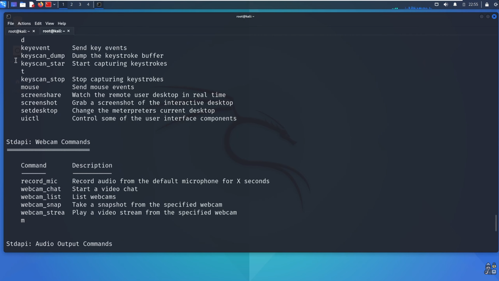 Metasploit interface screenshot
